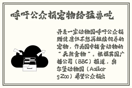 糖心vlog柚子猫甘雨